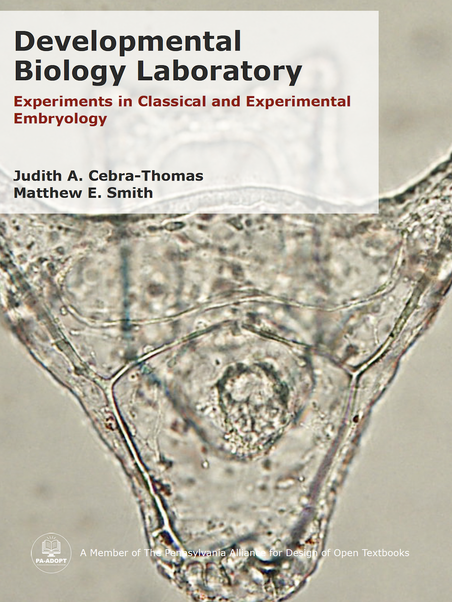 Developmental Biology Laboratory Book Cover