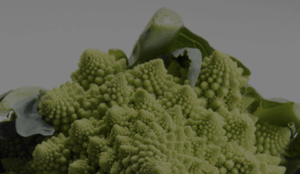 blurred cauliflower head