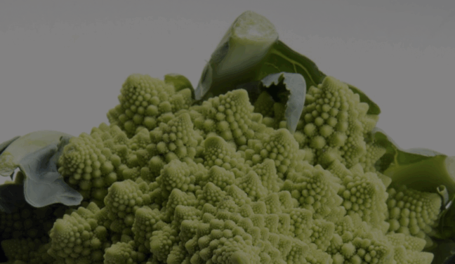 blurred cauliflower head