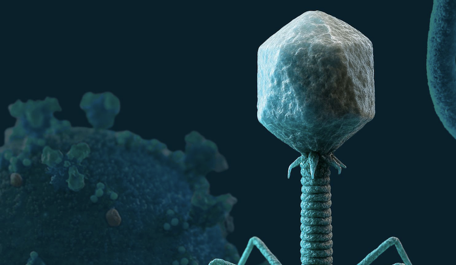 New book: Virology Lab Exercises for Undergraduates